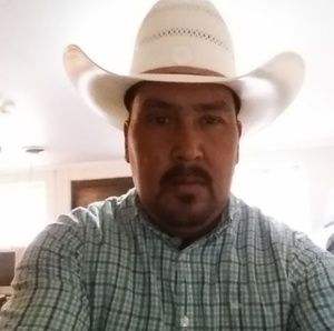 Meet your Posher, Gabriel